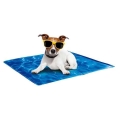 Bild 1 von All for Paws Chill Out Always Cool Kühlmatte für Hunde